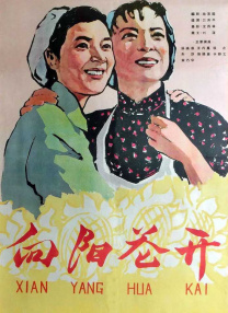 无毛网站